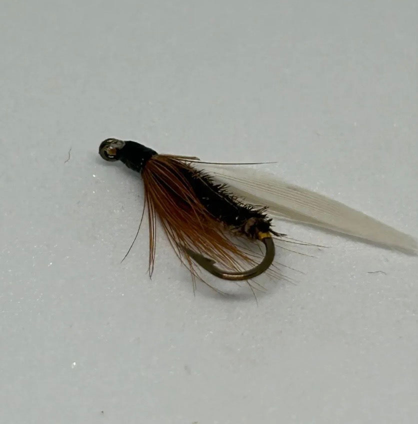Wet Fly Leadwing Coachman