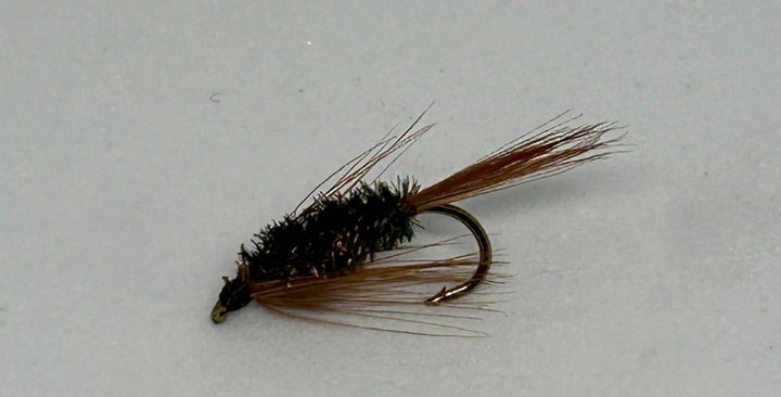 Wet Fly Diwal Bach