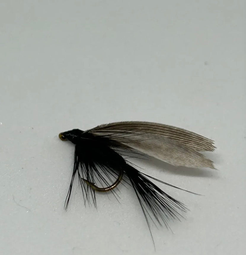 Wet Fly Black Gnat