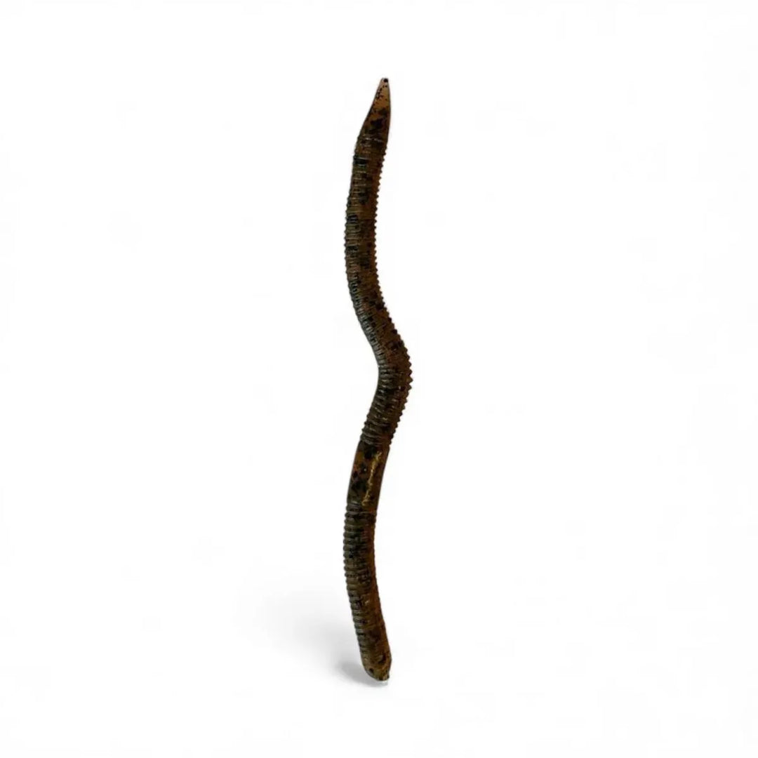 5in Brown / Black Speckled