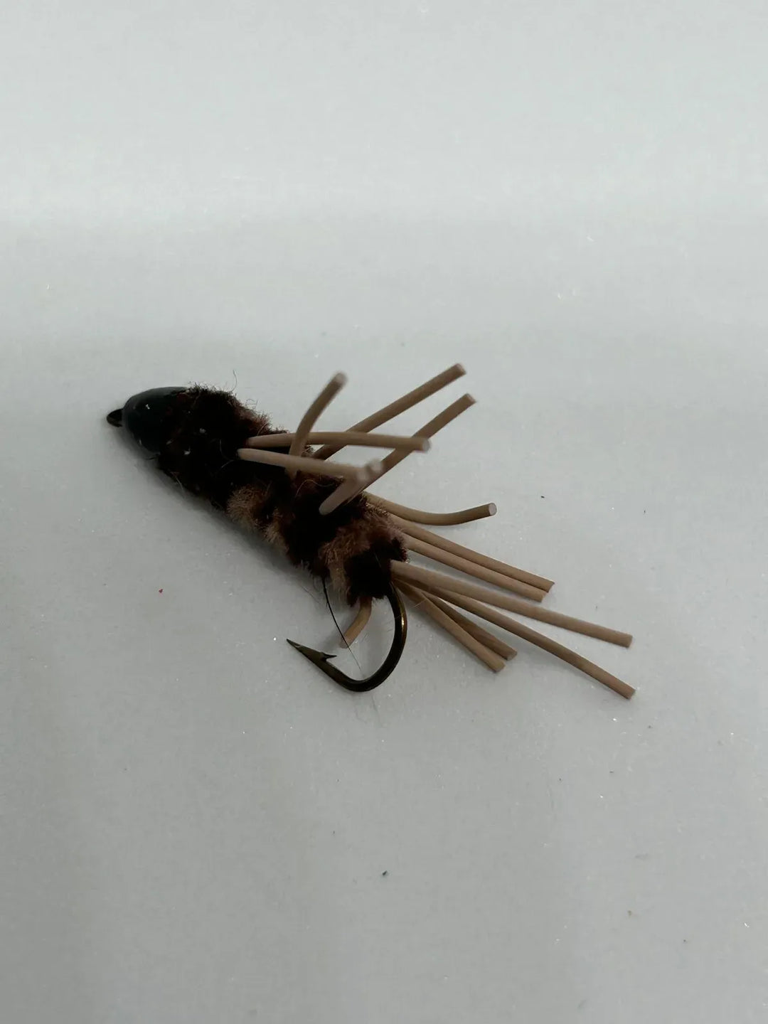 Mullet Flies , Cone Head Girdle Bug