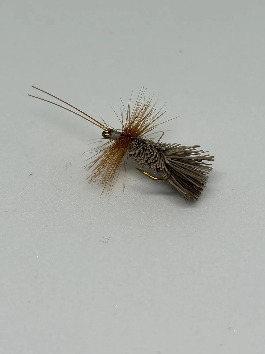 Dry Fly Goddard Caddis